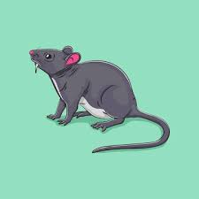 mouse